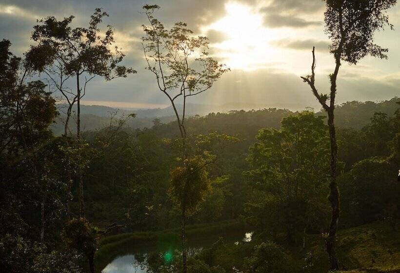 فندق Origins Lodge