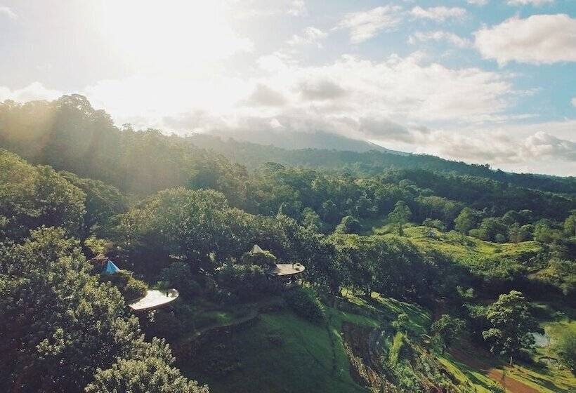 فندق Origins Lodge