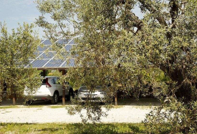 田舎風ホテル Agriturismo San Gregorio