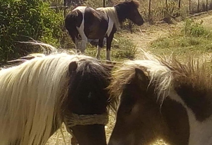 田舎風ホテル Ktima Nikola