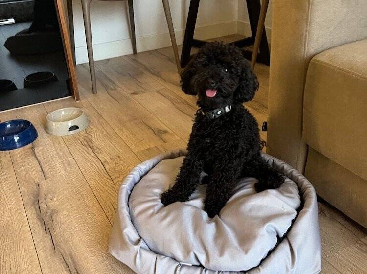 My Story Sopot Apartments