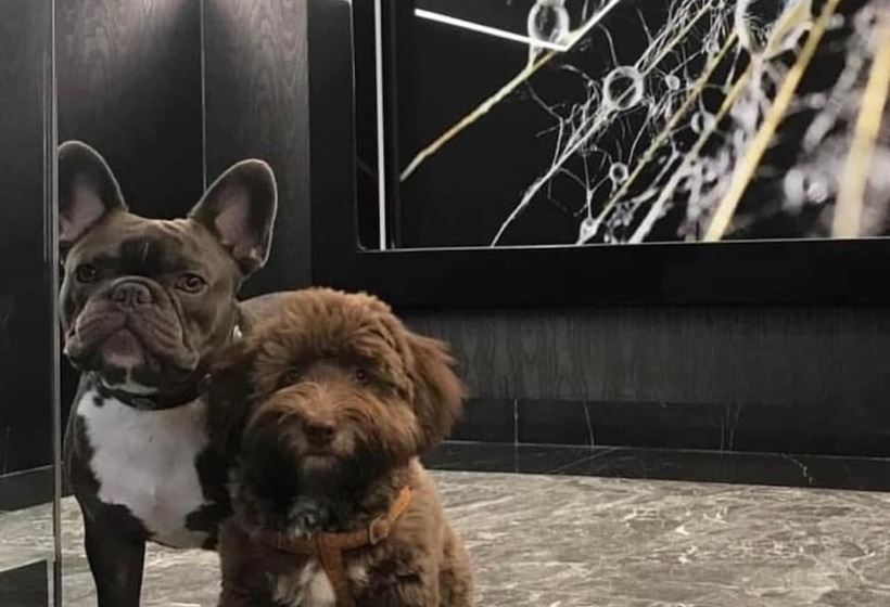 My Story Sopot Apartments