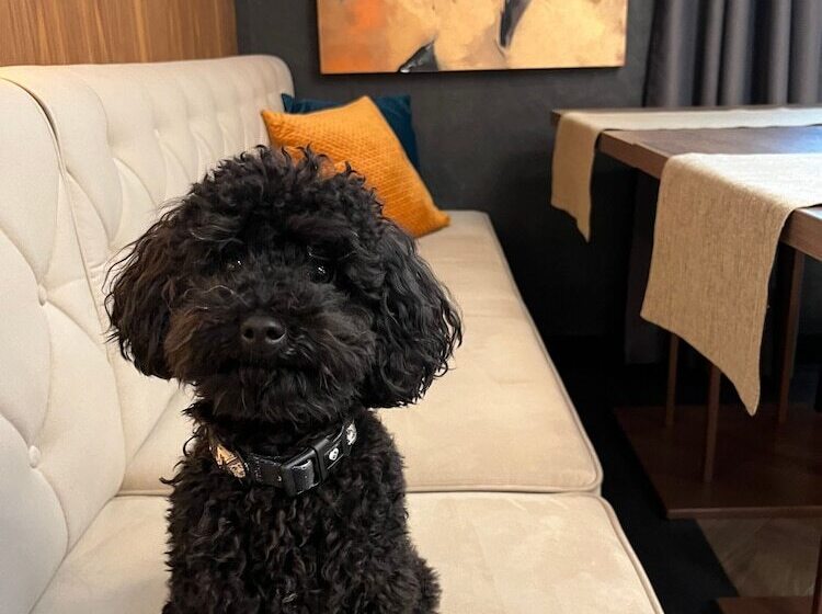 My Story Sopot Apartments