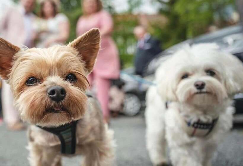 My Story Sopot Apartments