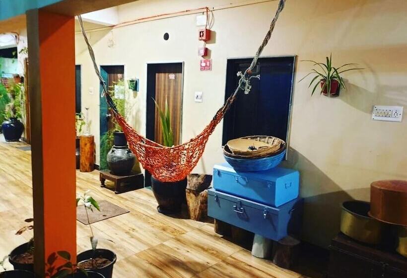 ペンション Dream Vision Guest House