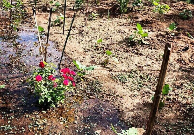 ペンション Dream Vision Guest House