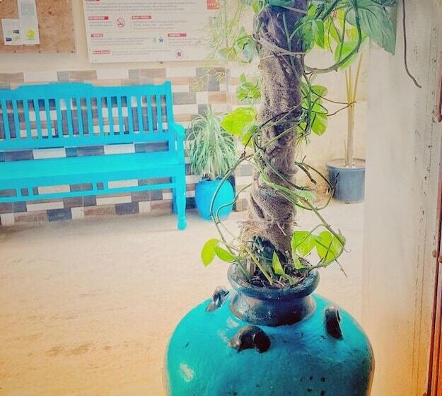 ペンション Dream Vision Guest House