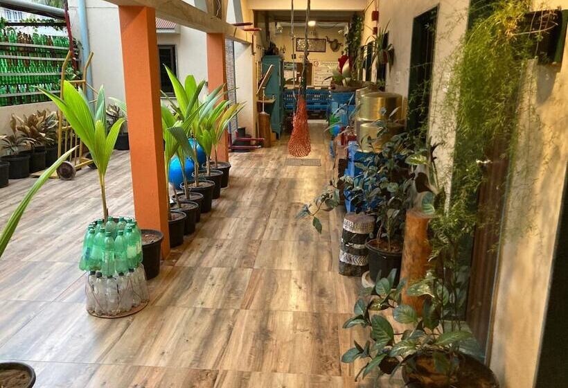 ペンション Dream Vision Guest House