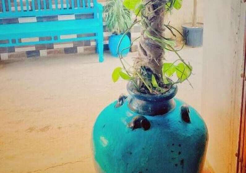 ペンション Dream Vision Guest House