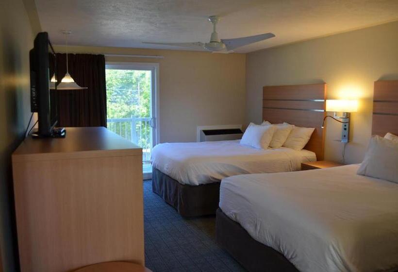 Panzió The Robin S Nest Tobermory