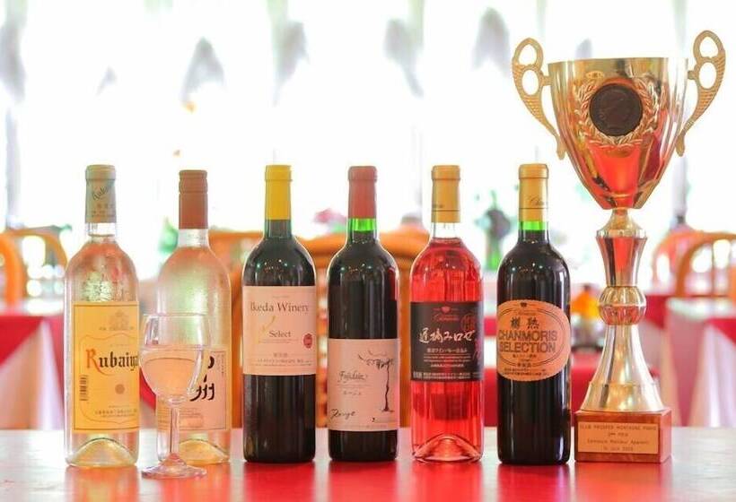 Mt Fuji B&b Pension Le Lagon