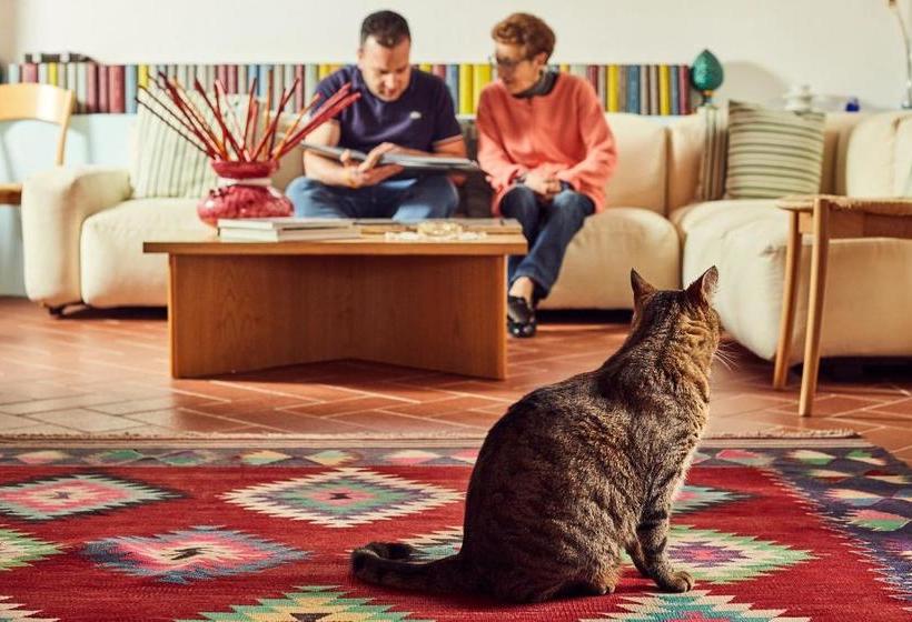 Affittacamere Maria Gabriella