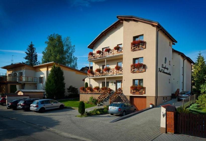 Rezydencja Pod Ochorowiczówką B&b