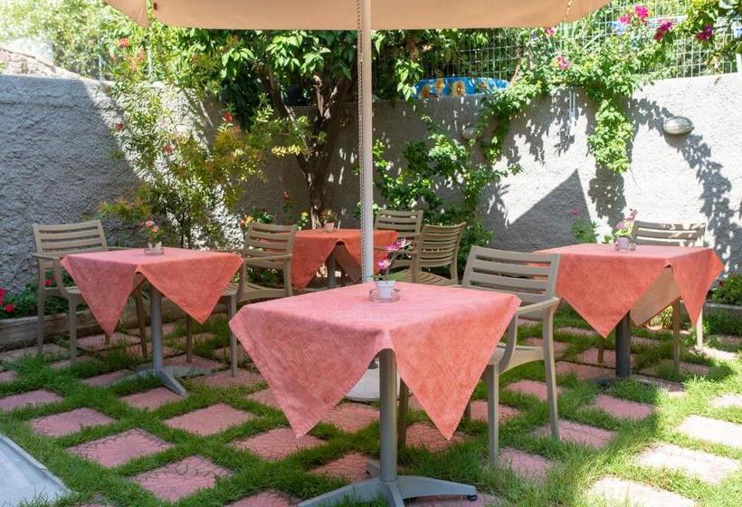 Heliotrope The Studios