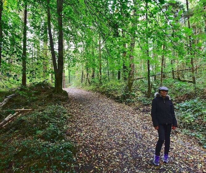 فندق Belleek Castle, Ballina