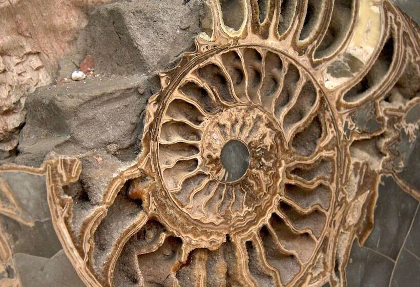 فندق Belleek Castle, Ballina