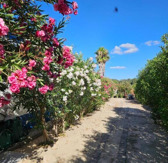 בית מלון כפרי Casa Zanzibar