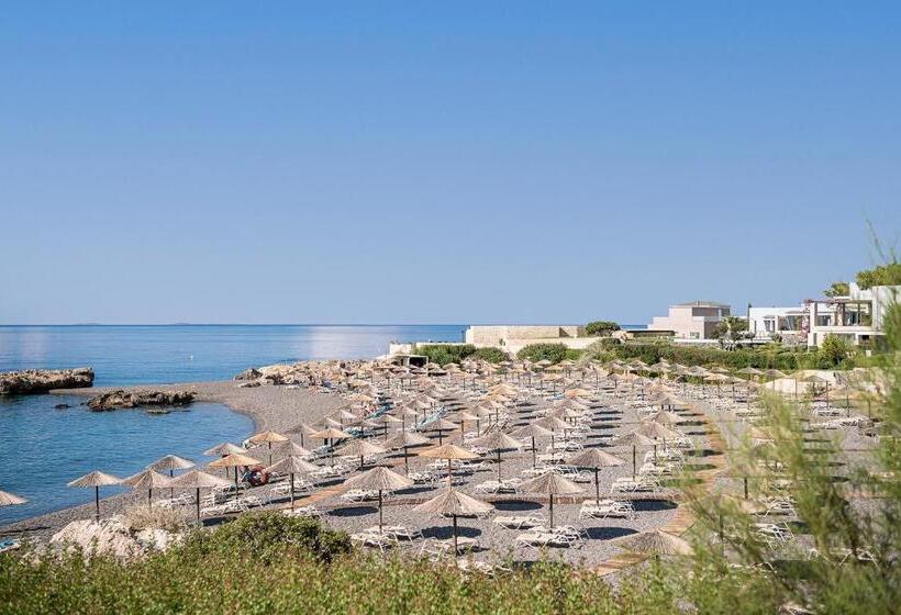 Kakkos Beach Hotel   Adults Only