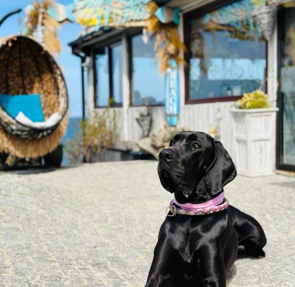 Отель Max Health Resort Spa