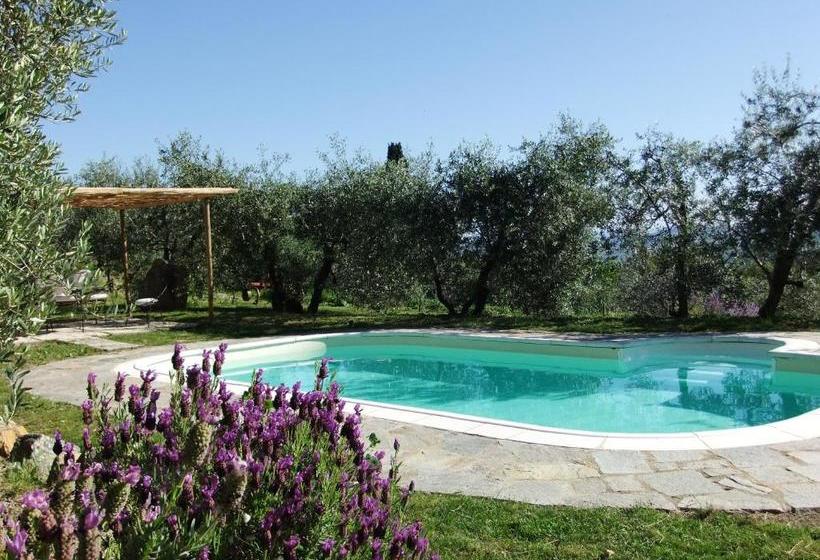 교외 호텔 Agriturismo Il Castagnolino