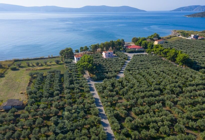 פנסיון Makis Inn Resort