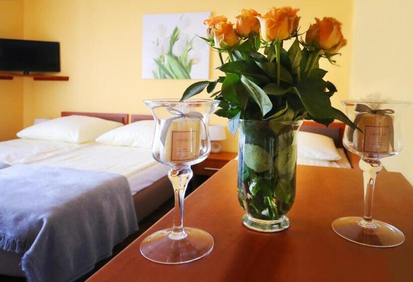 פנסיון Willa Mona