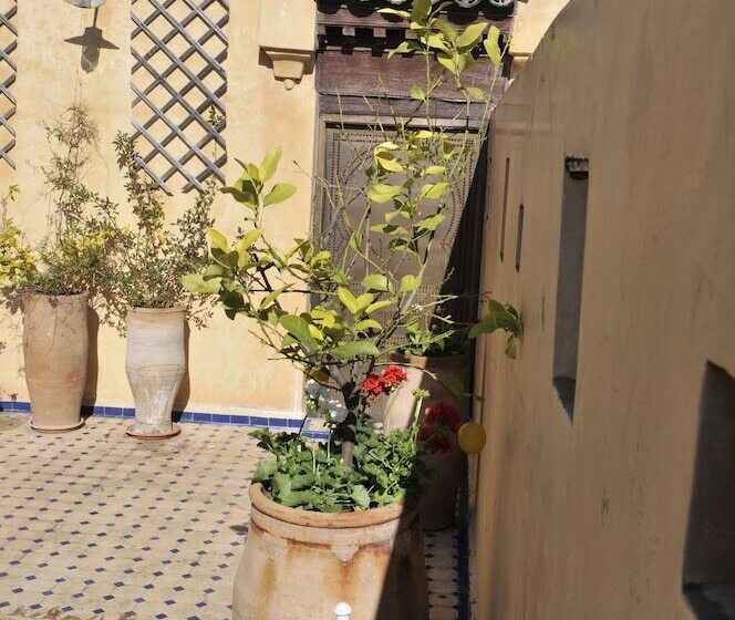 Riad La Cheminee Bleue Fes