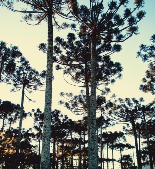 פונדק Refúgio Do Lago