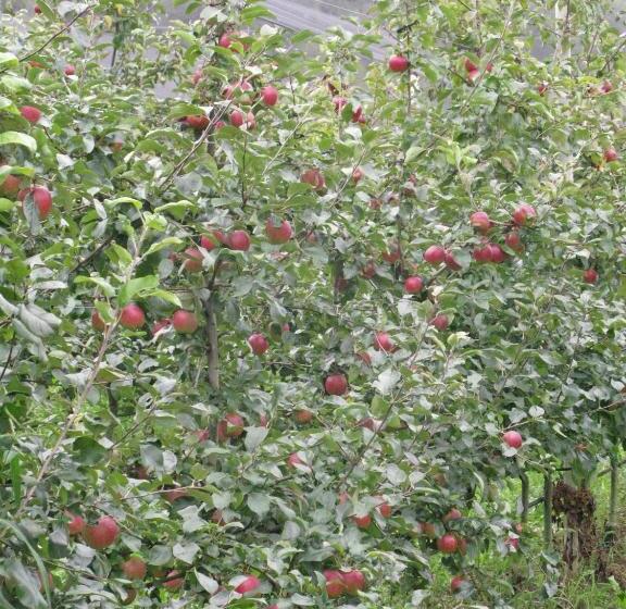 فندق Agriturismo Casamela