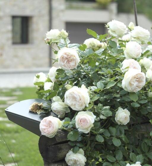 فندق Agriturismo Casamela