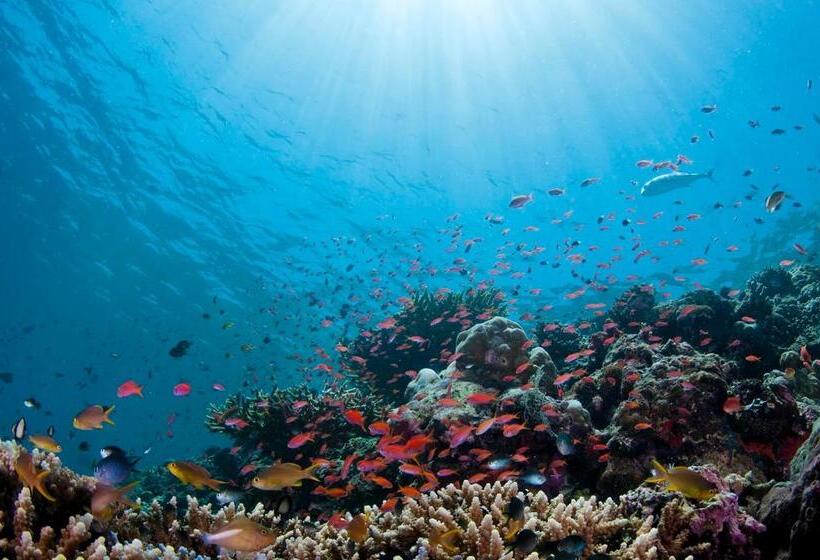 酒店 Holiday Inn Express Kota Kinabalu City Centre By Ihg