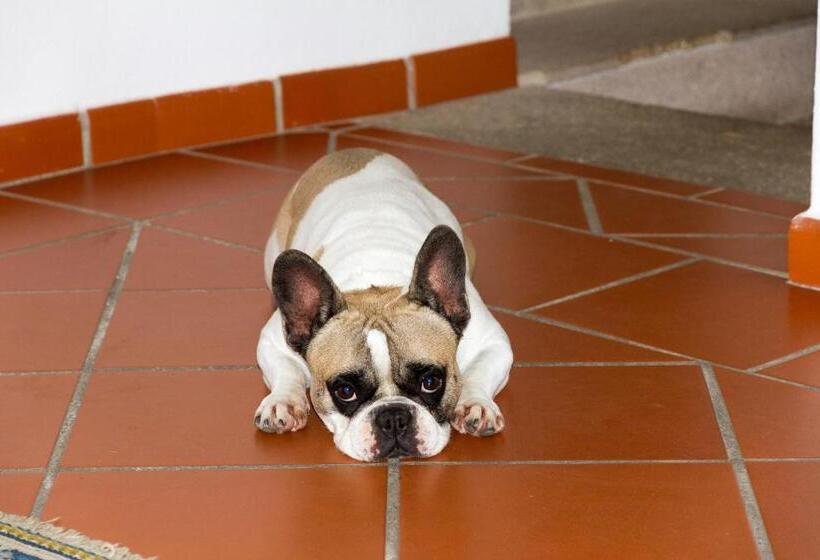 ペンション A Flor Da Rosa