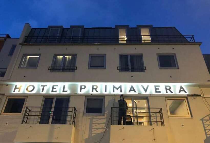 Пансион Alojamento Local Primavera