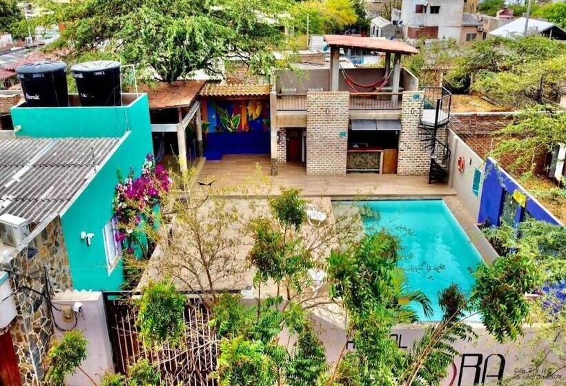 هاستل Hostal Aurora, Smith Lodging