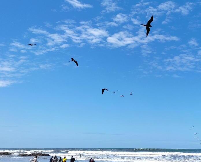 簡易ホテル El Belga Loco