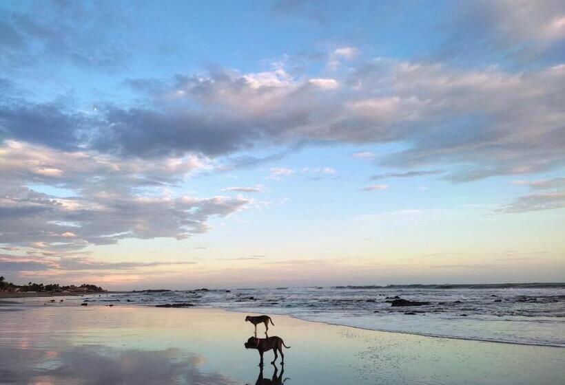 簡易ホテル El Belga Loco