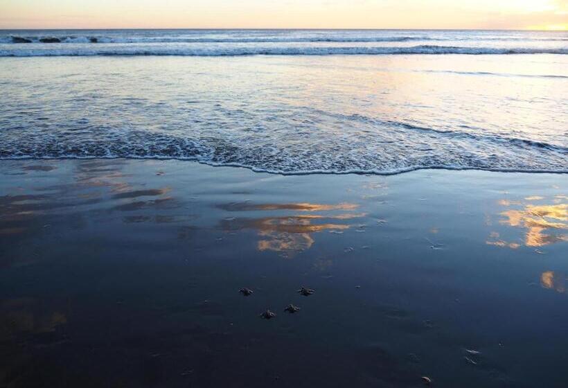 簡易ホテル El Belga Loco