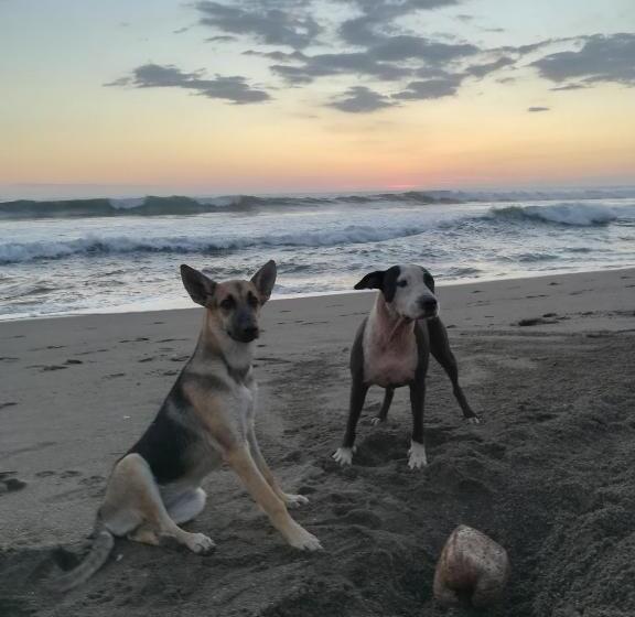 簡易ホテル El Belga Loco