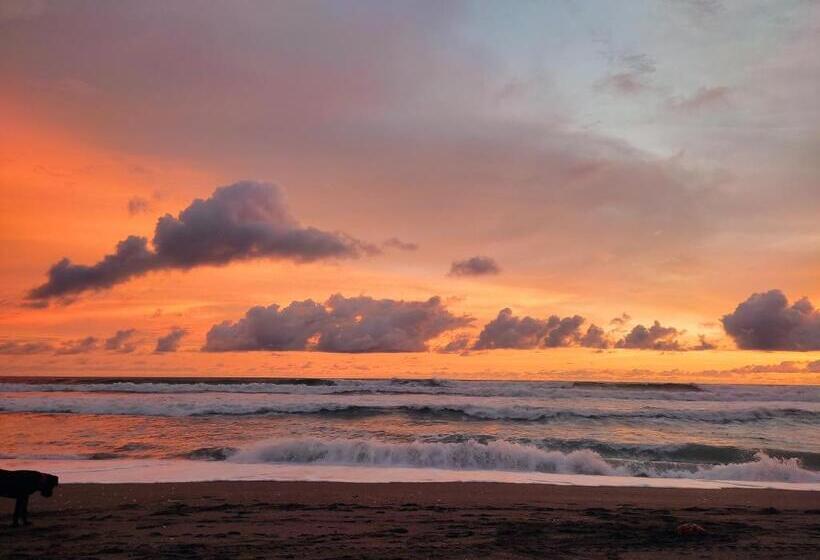 簡易ホテル El Belga Loco