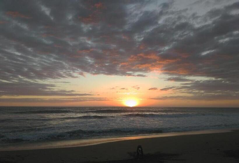 簡易ホテル El Belga Loco