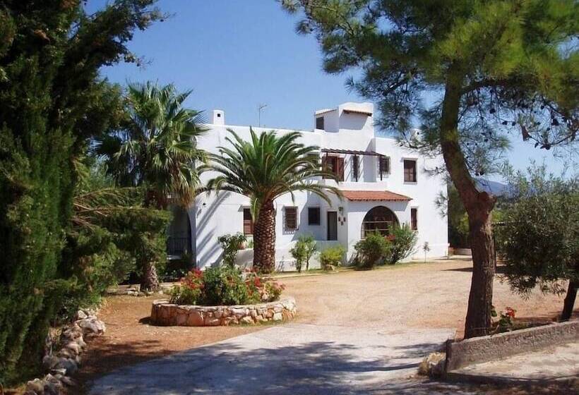 فندق فئة نجمة واحدة Sunrise Apartments