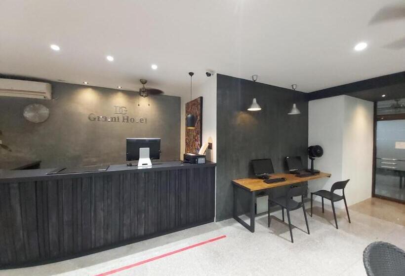 هتل Dg Grami