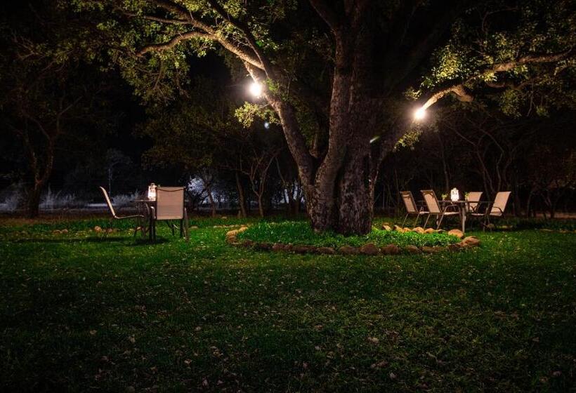 فندق Golden Impalas Bush Resort