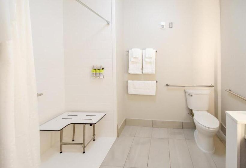 酒店 Holiday Inn Express & Suites Taylor, An Ihg