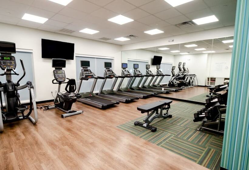 酒店 Holiday Inn Express & Suites Taylor, An Ihg