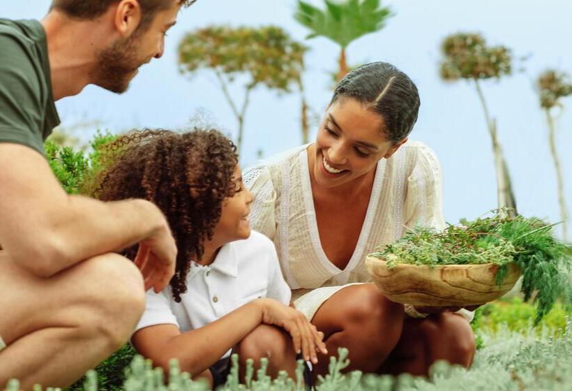 هتل Ikos Andalusia