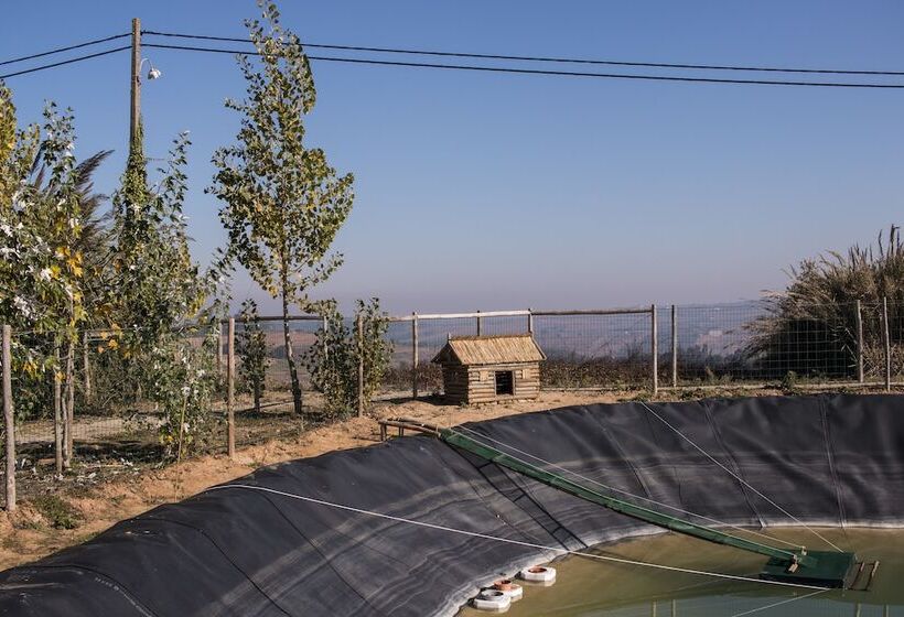 乡村酒店  Entre Vinhas & Mar