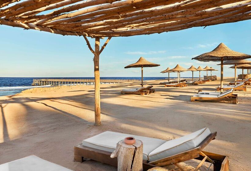 Hôtel Steigenberger Resort Alaya   Adults Friendly 16 Years Plus