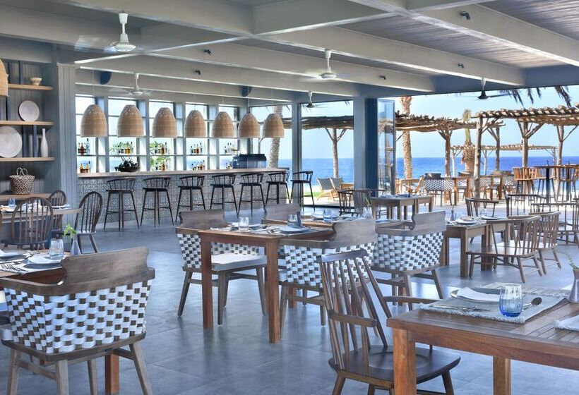 Hôtel Steigenberger Resort Alaya   Adults Friendly 16 Years Plus