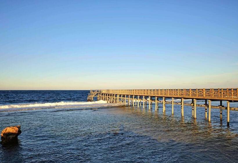 Hôtel Steigenberger Resort Alaya   Adults Friendly 16 Years Plus